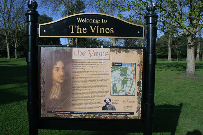 The Vines